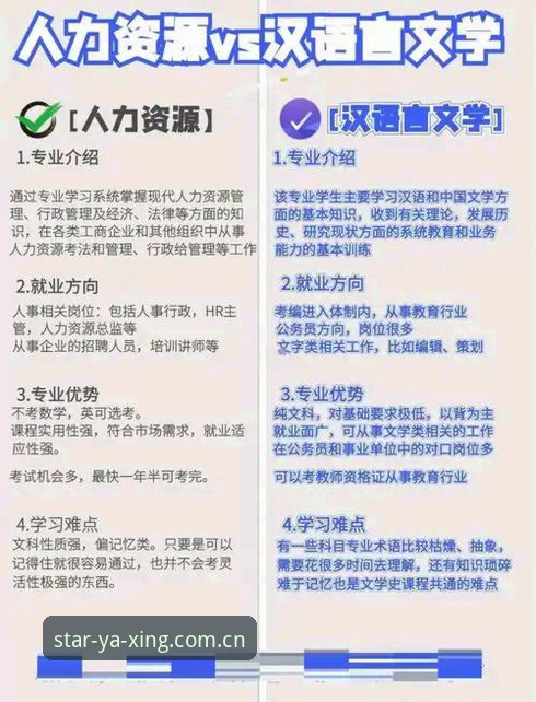 亚星官方入口 vs 第三方跳转：哪个才是高效娱乐的明智选择？